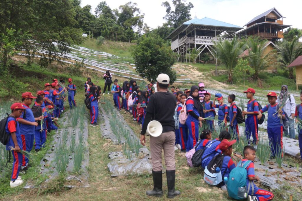 photo_6283079392598625421_y-1024x683 Usung Konsep Edukasi Terpadu, Agrowisata California Kenalkan Dunia Tani ke Generasi Muda