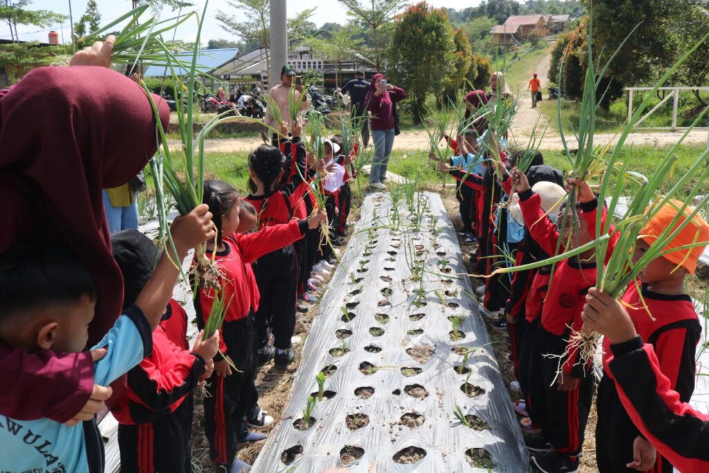 6096090788707110401-1024x683 Siswa TK Anawula Belajar Cinta Alam Lewat Eduwisata di Agrowisata California