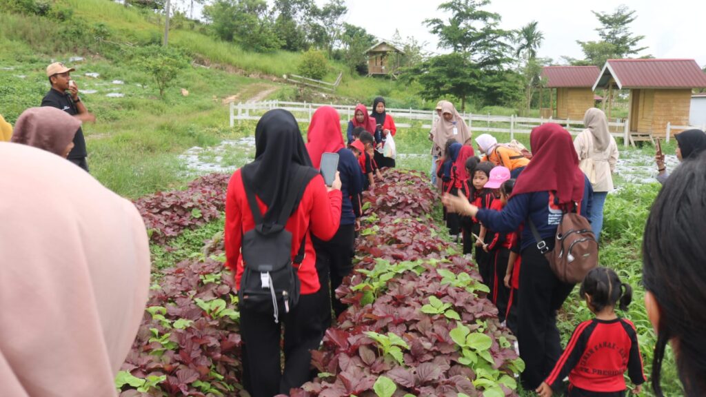 WhatsApp-Image-2025-12-03-at-17.39.05-1024x576 TK Presiden Ajak Siswa Belajar dan Bermain di Agrowisata California