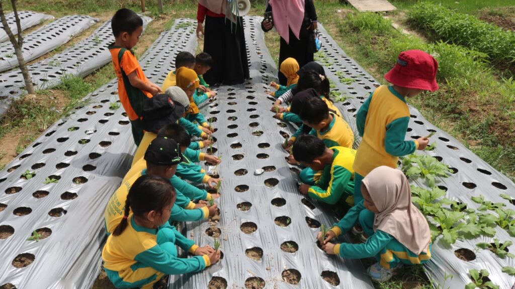 WhatsApp-Image-2025-12-15-at-15.37.40-1024x576 Siswa TK Nurul Ilmi Baruga Belajar Tanaman dan Alam di Agrowisata California