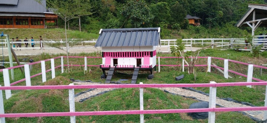 WhatsApp-Image-2026-01-21-at-13.28.00-1024x473 Hadirkan Playground di Tengah Alam, Agrowisata California Jadi Destinasi Edukasi Keluarga