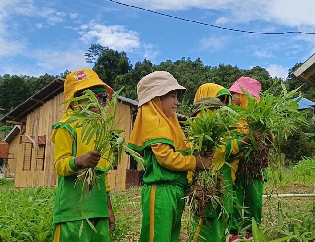 IMG_1210.JPG-1024x789 Kenalkan Dunia Pertanian, Siswa TK Satria Akbar Kendari Kunjungi Agrowisata California