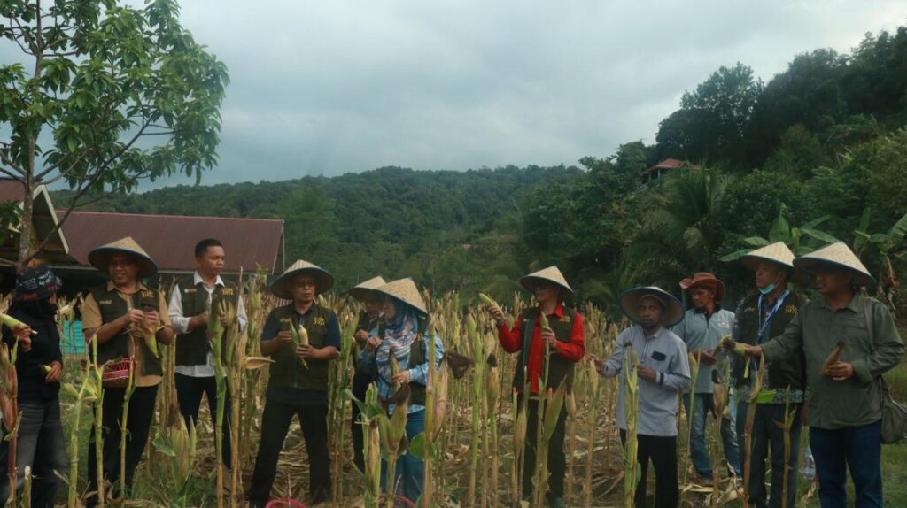 WhatsApp-Image-2026-09-04-at-01.59.02-1-1024x574 Owner Agrowisata California Kenalkan Konsep Pertanian Terpadu ke Akademia Dalam dan Luar Negeri
